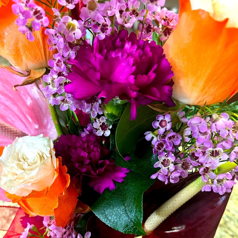 Meet your Posher, Jaimie